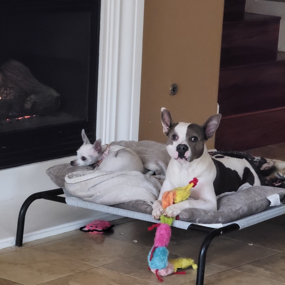 Welcome to Lexiga🎉Handmade Jewelry Blessings David and Daisy - Picture 15 of 16